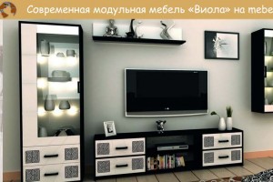 Модульная мебель Виола СО СКИДКОЙ в каталоге Mebel-24!