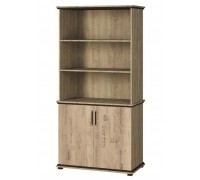 Шкаф книжный Палермо Новая